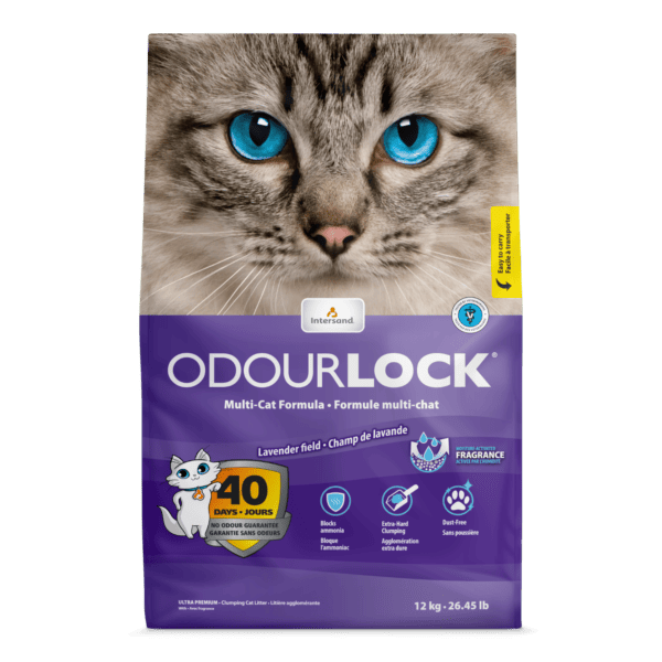 Intersand Odourlock Lavender